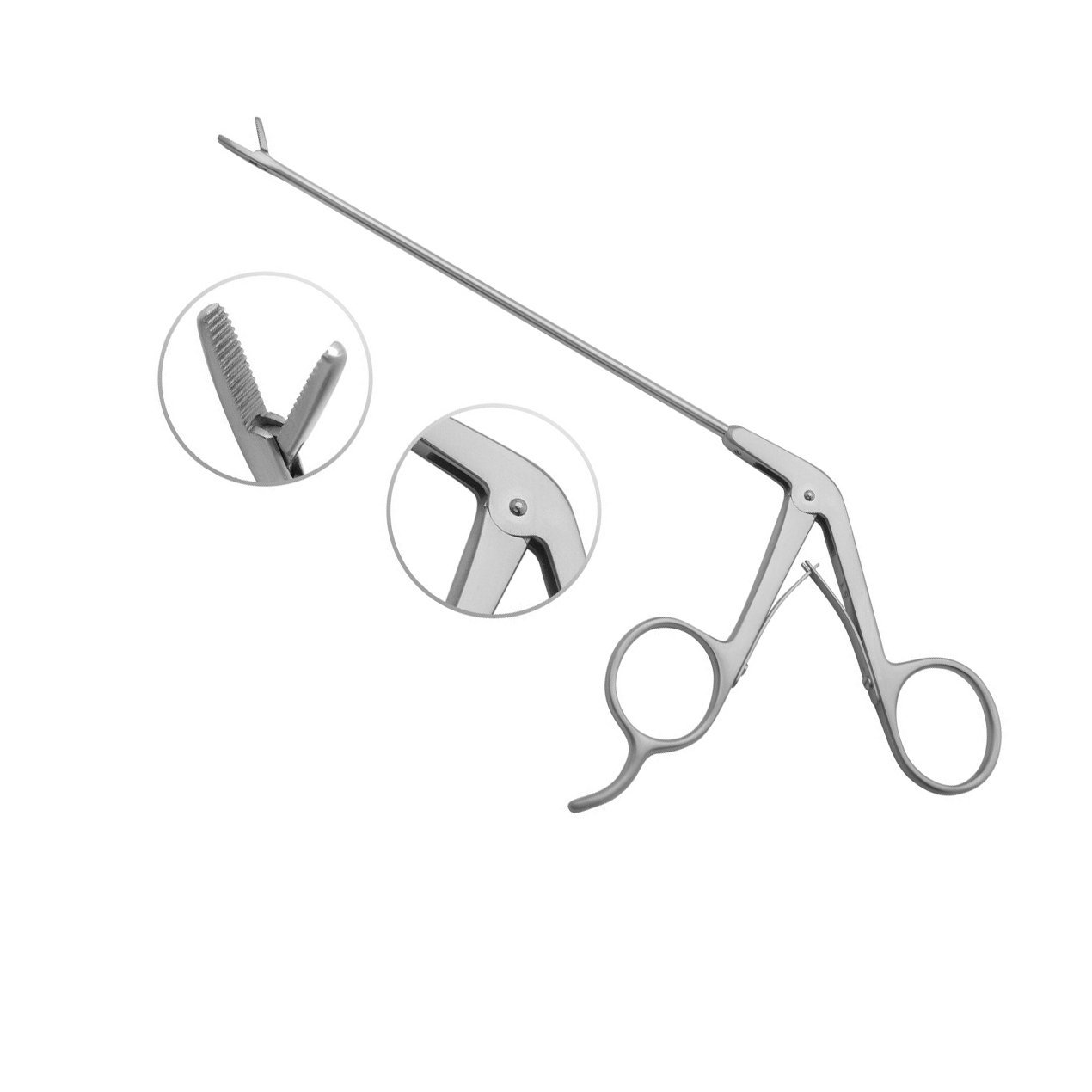 Alligator-Cupped-2.jpg ALLIGATOR CUPPED GRASPER - Image 1