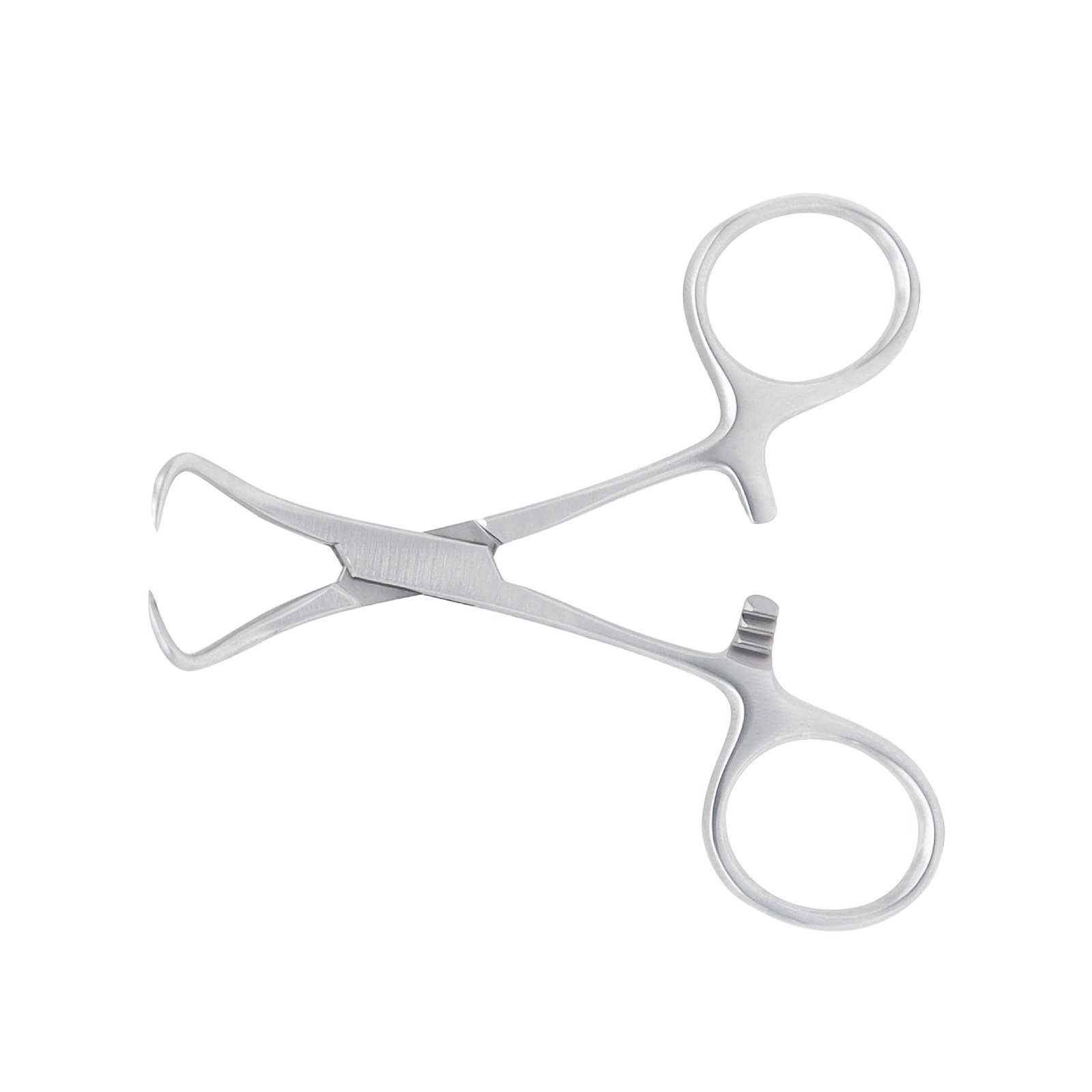 backhaus-towel-forceps-overall-length-95-cm.jpg Backhaus ? Towel Forceps, overall length 9.5 cm - Image 1